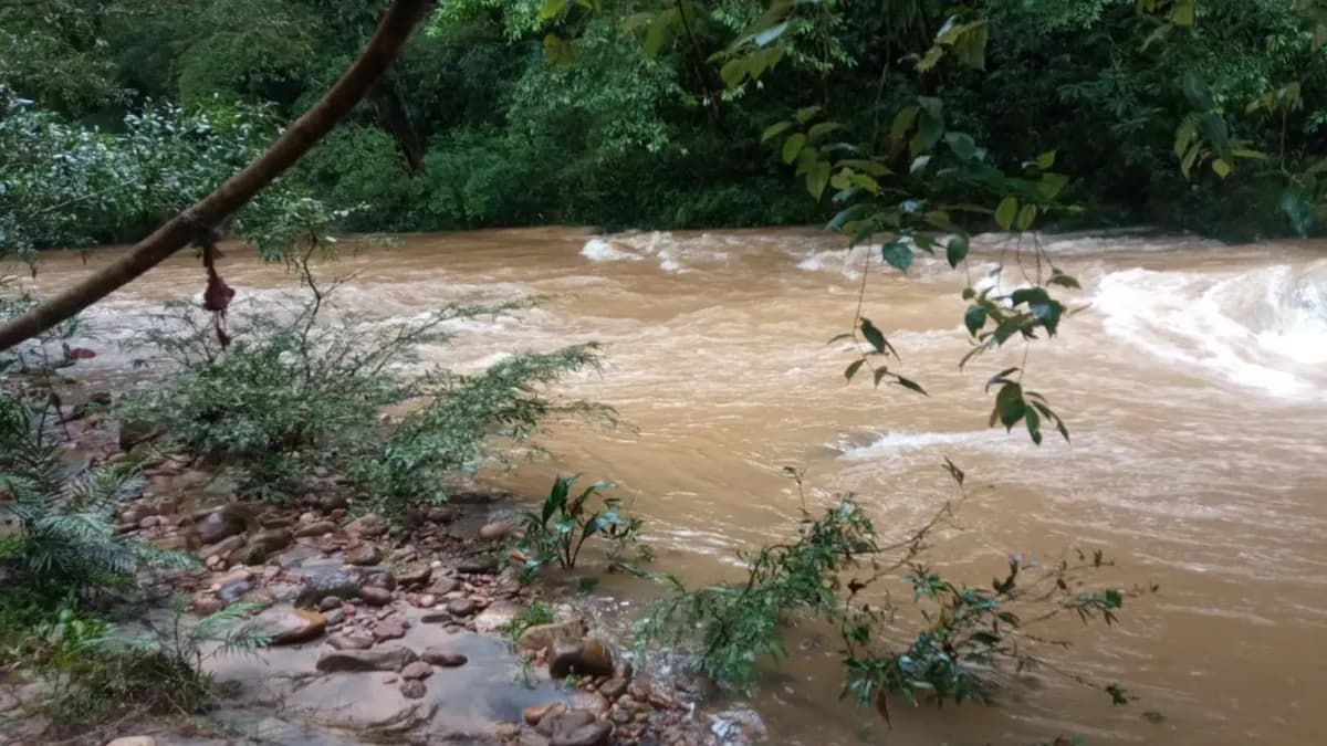 Río y ecosistema natural de la finca