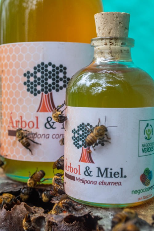 Miel de Melipona eburnea